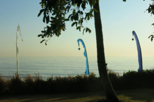 bali-soir arbre drapeaux