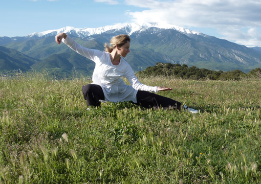 Cours de Qi gong avec Agnès Delattre sur Toulouse Pouvourville, Pechabou et Donneville